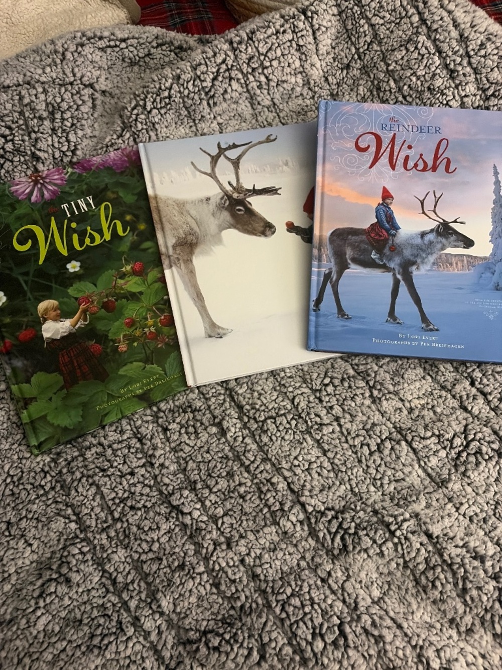Gorgeous Lori Everett books